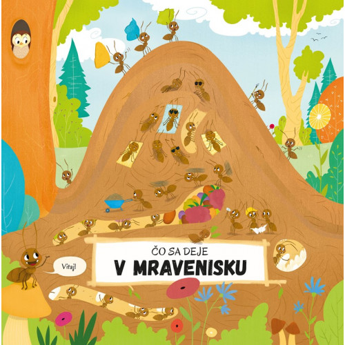 Detská kniha Čo sa deje v mravenisku